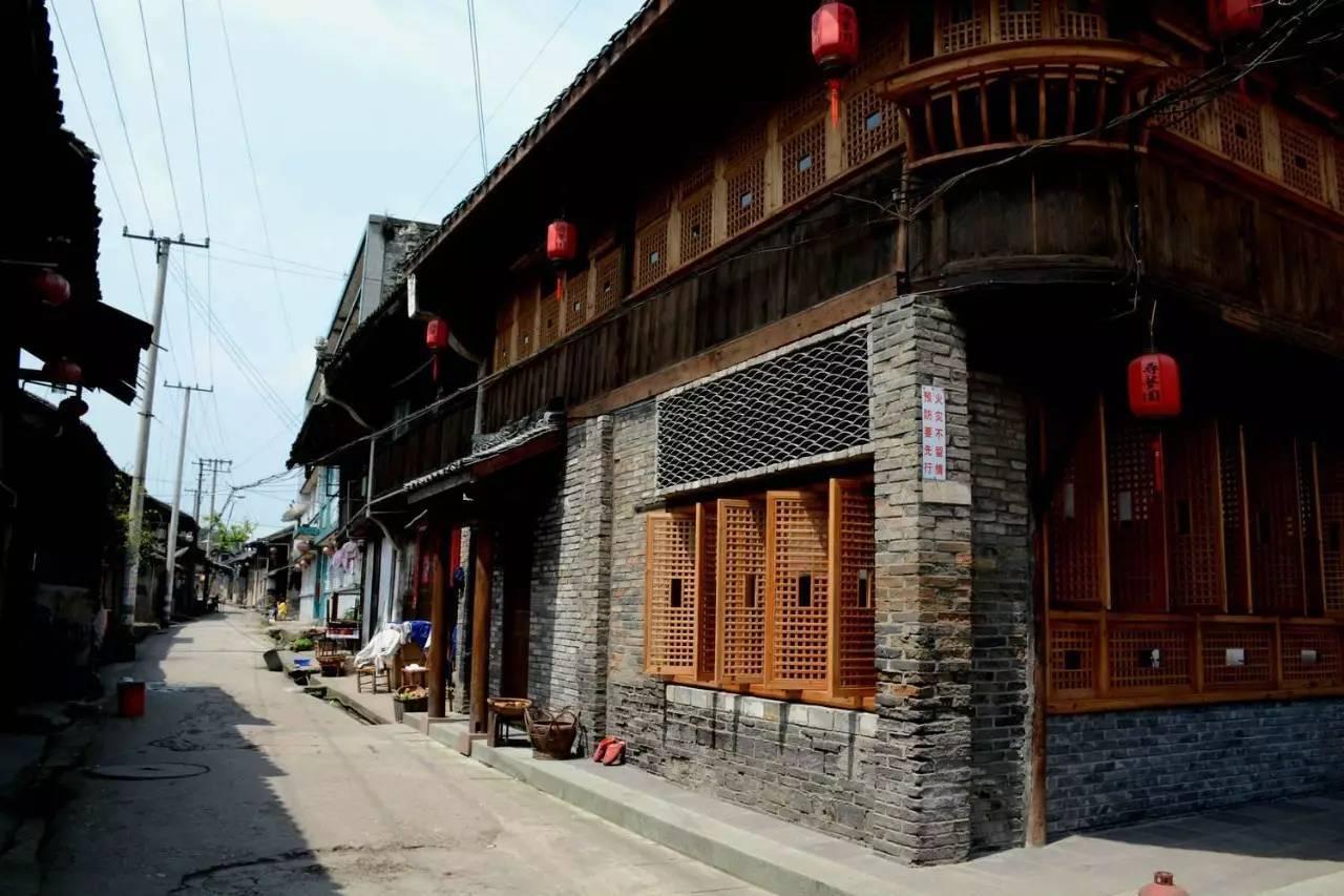 小僵尸射飞鸟